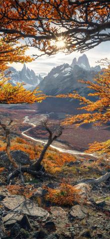 The Beautiful Autumn Colours In Patagonia 4k