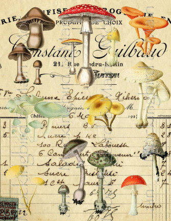 Mushroom Digital Collage Sheets Tear Background Image