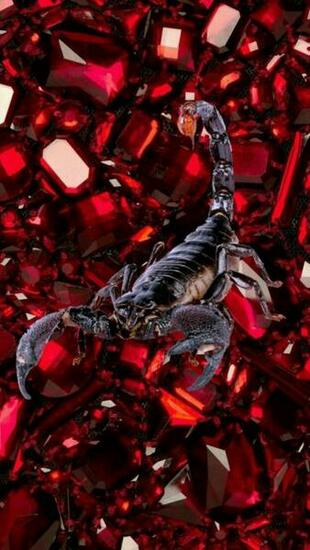 Black Scorpion On Rubies iPhone Wallpaper Vertical