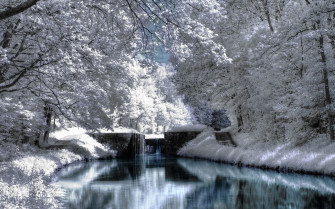 Winter Scenery Wallpaper