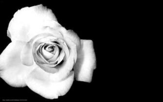Black And White Background