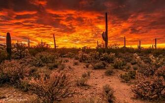 Sunset In Tucson Az Wallpaper At Wallpaperbro