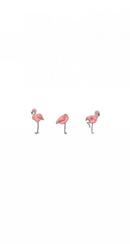 Niam Asna On Karangan Bunga Flamingo Wallpaper Cute