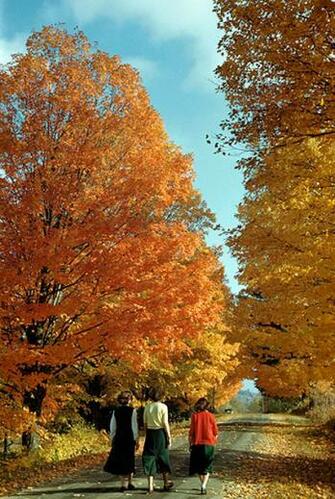 Smscs Photo Autumn Html