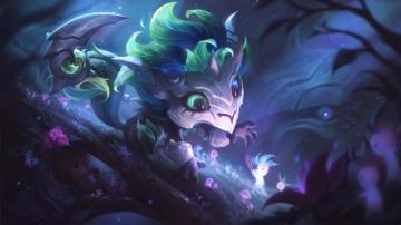 Elderwood Gnar Wallpaper iPhone Phone 4k 6091e