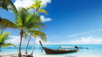 Palm Tree Beach Wallpaper