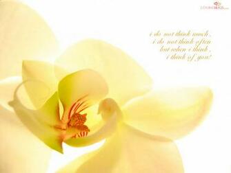 Love Pictures Inspirational Quotes Wallpaper