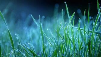 Beautiful Rain Wallpaper HD Pictures Live
