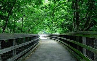 Dekstop Wallpaper Nature Widescreen