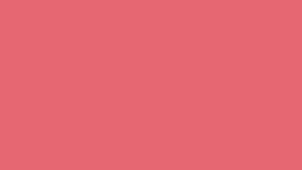 Pink Solid Color Background And The Below