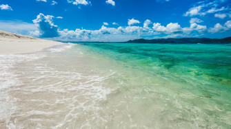 Tropical Turquoise Bliss Wallpaper