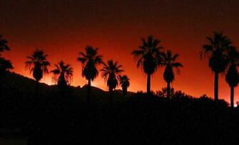 Wallpaper Photo For The Wildland Firefighter