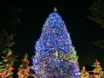 Christmas Tree Wallpaper