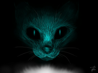 Warrior Cats Wallpaper Star Cat By Eliza1star