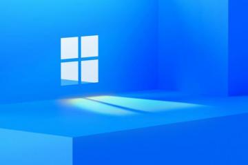 The Windows Wallpaper