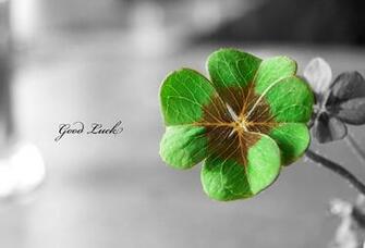 Funmozar Good Luck Wallpaper
