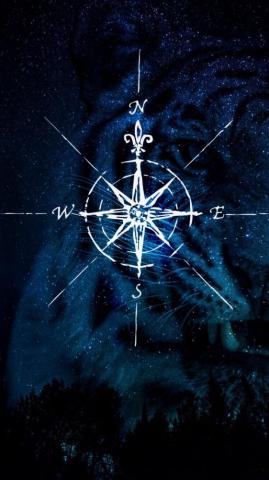 Waynes Cool Stuff Compass Wallpaper Artistic Art