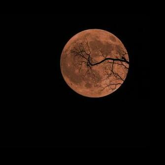 Full Moon Wallpaper HD In Space Imageci