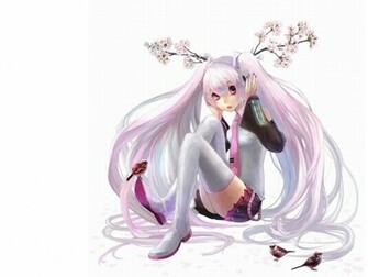 Sakura Miku Wallpaper