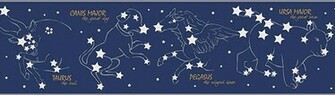 Constellations Wall Border Night Sky Stars Wallpaper Roll