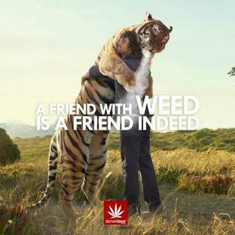 Mobile Wallpaper For Stoners Stoner Pictures