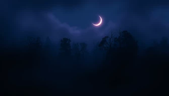 Best Dark Aesthetic Wallpaper