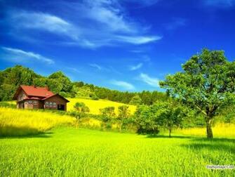 Nature Wallpaper Wallpaperpk Background Love