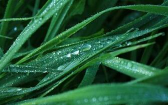 Tears Wallpaper Stock Photos