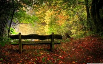 Autumn Scenes Wallpaper