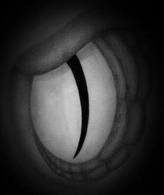 Venom Energy Logo