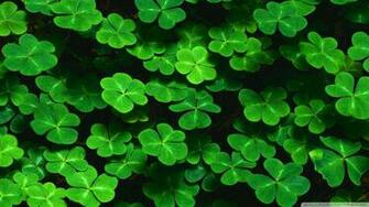 Irish Clover Background B
