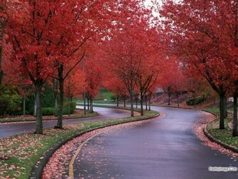 Nature Wallpaper Wallpaperpk Background Love
