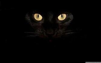 Black Cat Eyes 4k HD Desktop Wallpaper For Ultra Tv