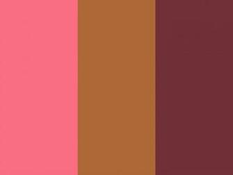 Wild Watermelon Windsor Tan And Wine Three Color Background