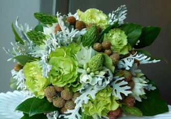 Beautyful Flowers Green Roses Wallpaper