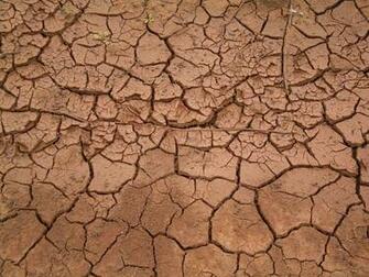 Textures Mud Wallpaper