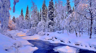 Winter Themed Wallpaper 4k