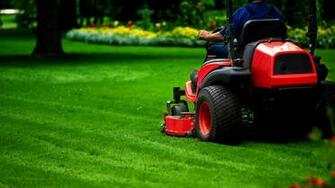 Best Lawn Mowing Background Frosty
