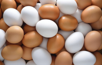 Wallpaper Colors Eggs Chicken Image For Desktop Section