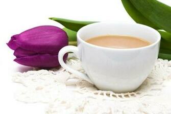 Cup Of Tea High Quality And Resolution Wallpaper On