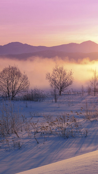 Winter Aesthetic iPhone Wallpaper HD