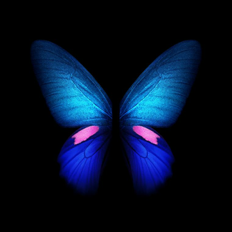 Samsung Galaxy Fold Wallpaper In Full Resolution Right Here