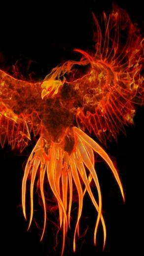 Phoenix Wallpaper Note F13 S11