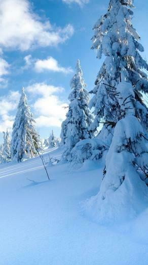 iPhone iPad Wallpaper Frozen Snowflakes Snow
