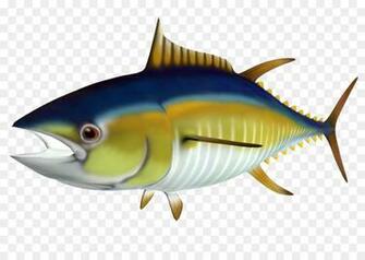 Shark Fin Background Clipart Fish Transparent Clip Art
