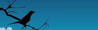 Bird Silhouette Wallpaper Animal Picture Archive