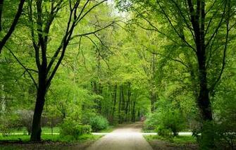 For Windows Nature Screensavers