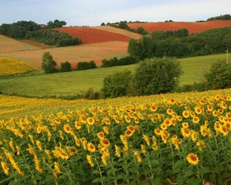 Wallpaper Nature Beautifull Natural