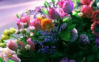 HD Flowers Wallpaper