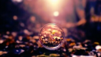 Bubbles Wallpaper